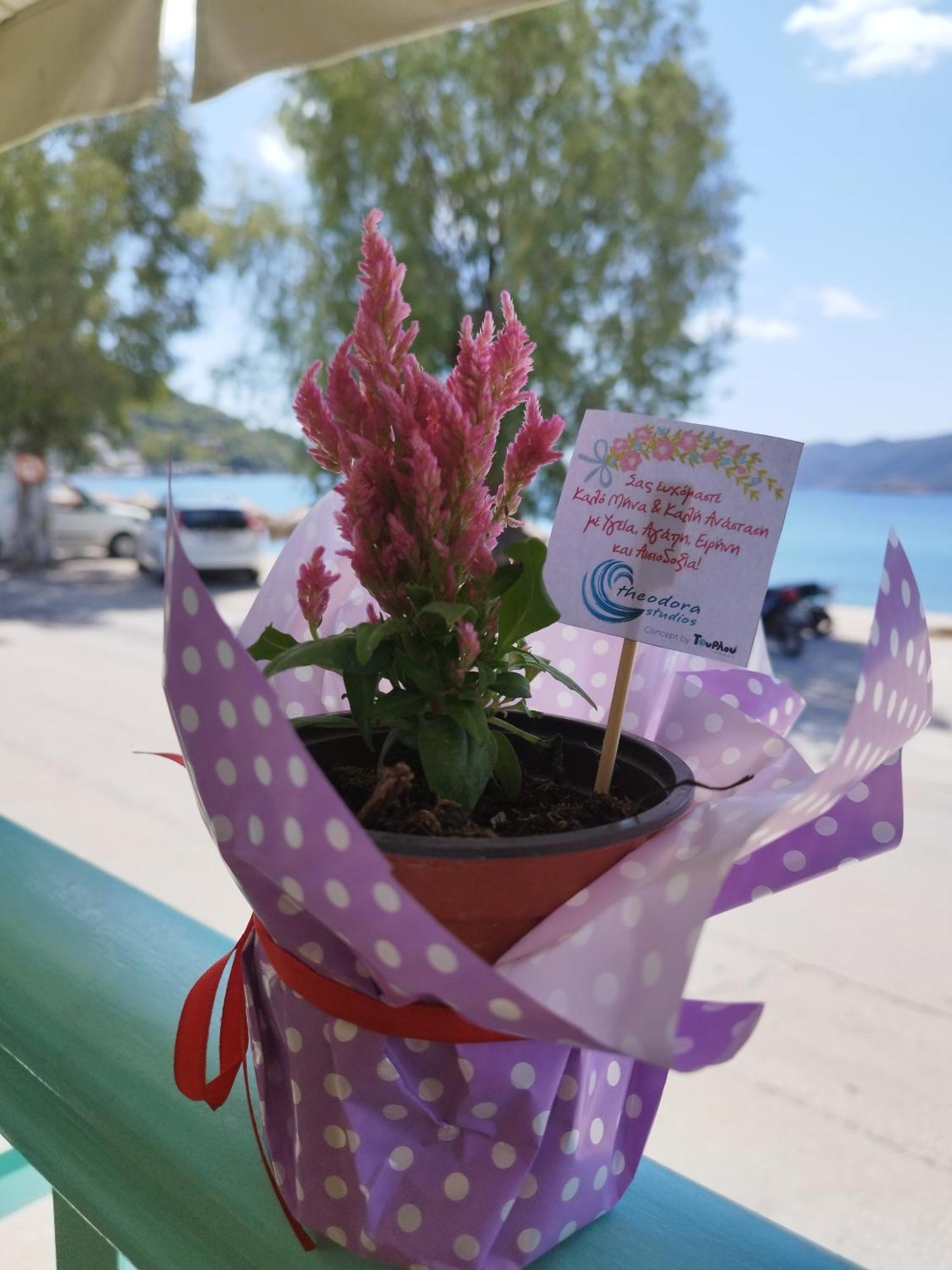 Theodora Rooms Poros Town エクステリア 写真
